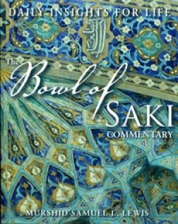 Bowl of saki
