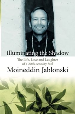 Illuminating the shadow