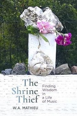 Theshrinethief