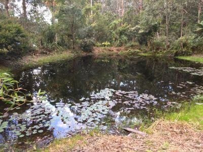 The 2019 Spring Renewal Retreat at Jamanee Gunya