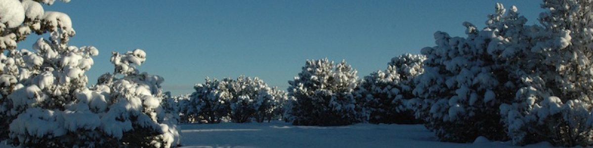 10 snow expanse