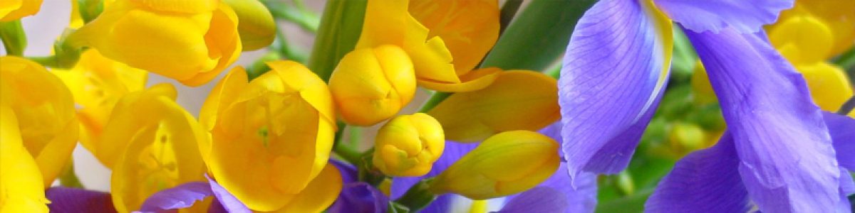 14 flowers