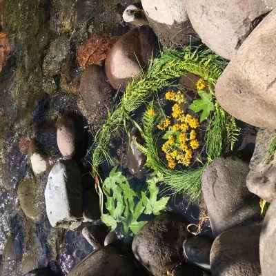NatureArt2 400