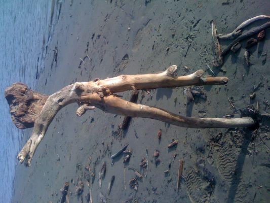 NatureArt3 400