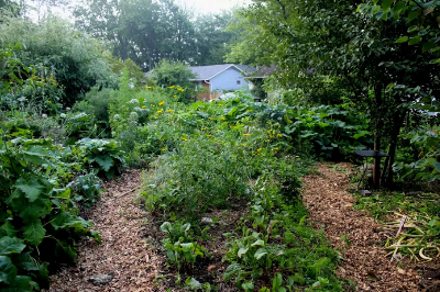 garden400