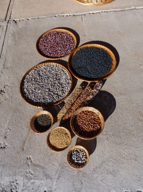 seeds bowls